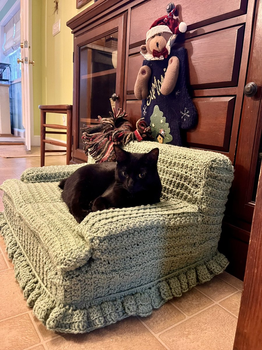 My mother-in-law made a cat couch for her grandcats and I’m just so thrilled by this! #talentedmotherinlaw #catsoftwitter #catcouch #catfurniture