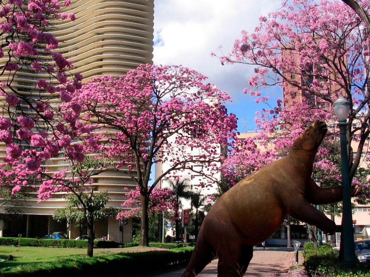 2023 irá trazer muitas novidades para o PaleoEspinhaço, fiquem ligados!

Catonyx cuvieri na Praça da Liberdade em Belo Horizonte - MG