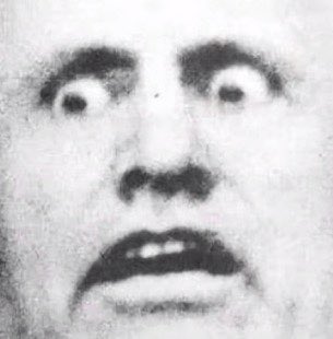 🇻🇦Gio's Content Minded Corner🛡🎨👁🌲📉 on Twitter: "@nypost https://t.co/CYUaz5lPJi" / Twitter