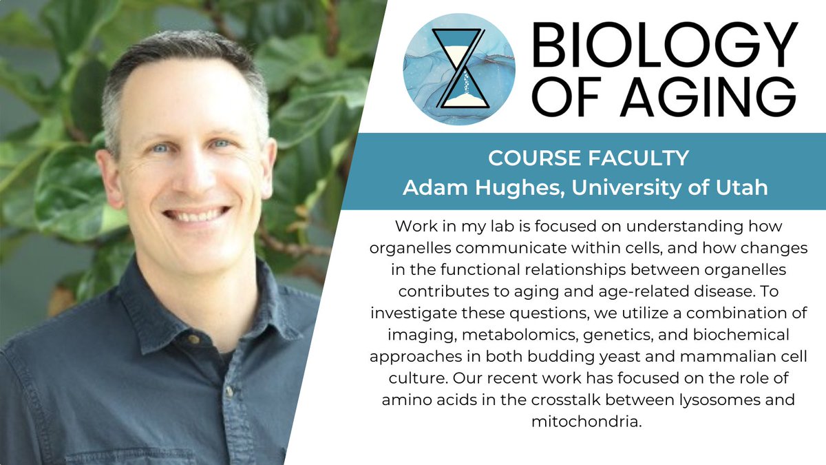 Biology of Aging Course (@biologyofaging) on Twitter photo Faculty focus: Introducing some of the great faculty on the new MBL Biology of Aging Course.
Applications open now! mbl.edu/boa
<a href="/MBLScience/">Marine Biological Laboratory (MBL)</a> @William_Mair <a href="/jenngarrison/">Jennifer Garrison</a> <a href="/Adam_L_Hughes/">Adam Hughes</a> Faculty focus: Introducing some of the great faculty on the new MBL Biology of Aging Course.
Applications open now! mbl.edu/boa
<a href="/MBLScience/">Marine Biological Laboratory (MBL)</a> @William_Mair <a href="/jenngarrison/">Jennifer Garrison</a> <a href="/Adam_L_Hughes/">Adam Hughes</a>