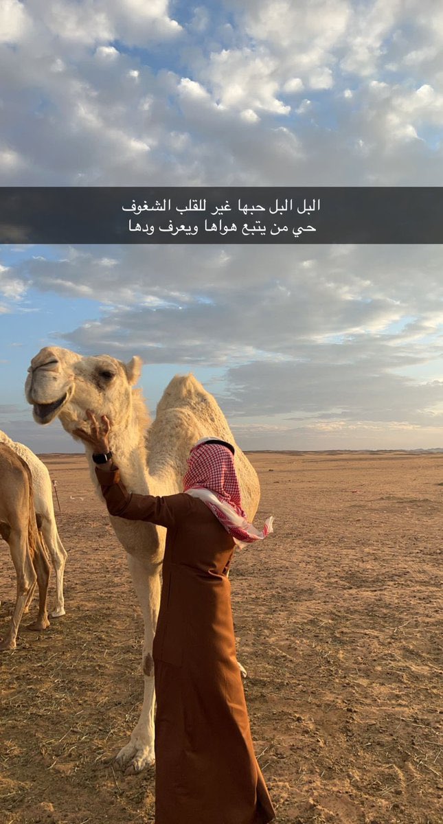 7_2tr's tweet photo. https://t.co/j2xMqQNsAZ