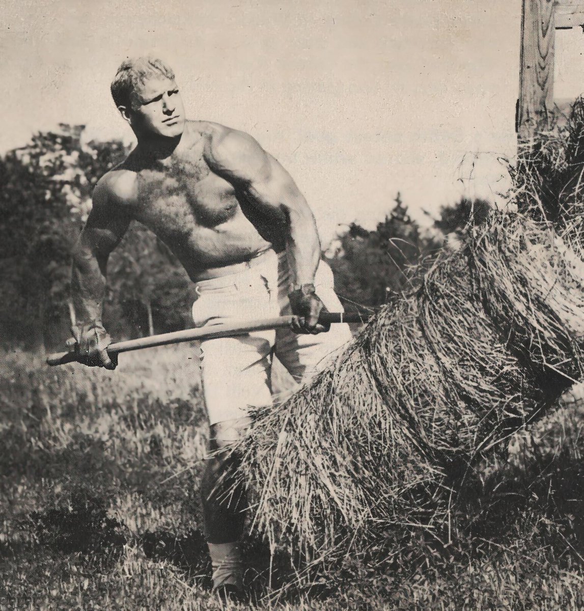 Morgan_C_Ross's tweet photo. Gordie Howe, Bobby Hull and Tim Horton 1940s-60s.  All farm boys as well as hockey players. https://t.co/NRacEaCpEk