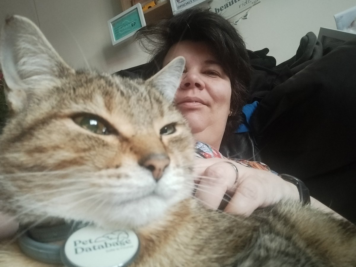 DieselLass's tweet photo. On a lighter note I was being held hostage by the cat as he was loafing on me earlier 🥰🥰🥰 #bengal #couldntmove #cookingfats love him to bits x https://t.co/EXedVgtCZR