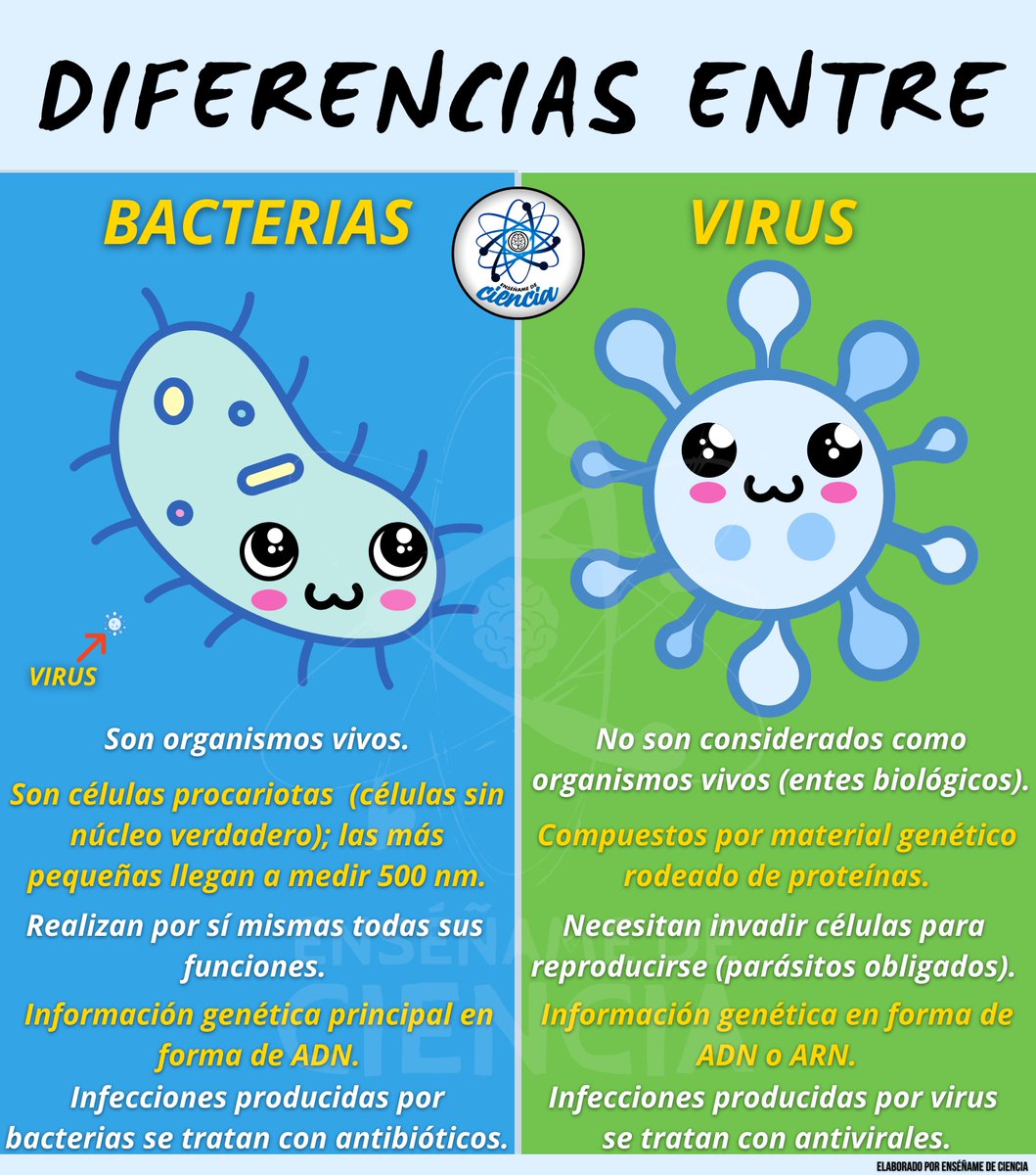EnsedeCiencia's tweet photo. Para que tengas más claro qué es lo que distingue a virus y a bacterias, a continuación se te presenta una imagen con sus principales diferencias. https://t.co/xRR4LqprZr