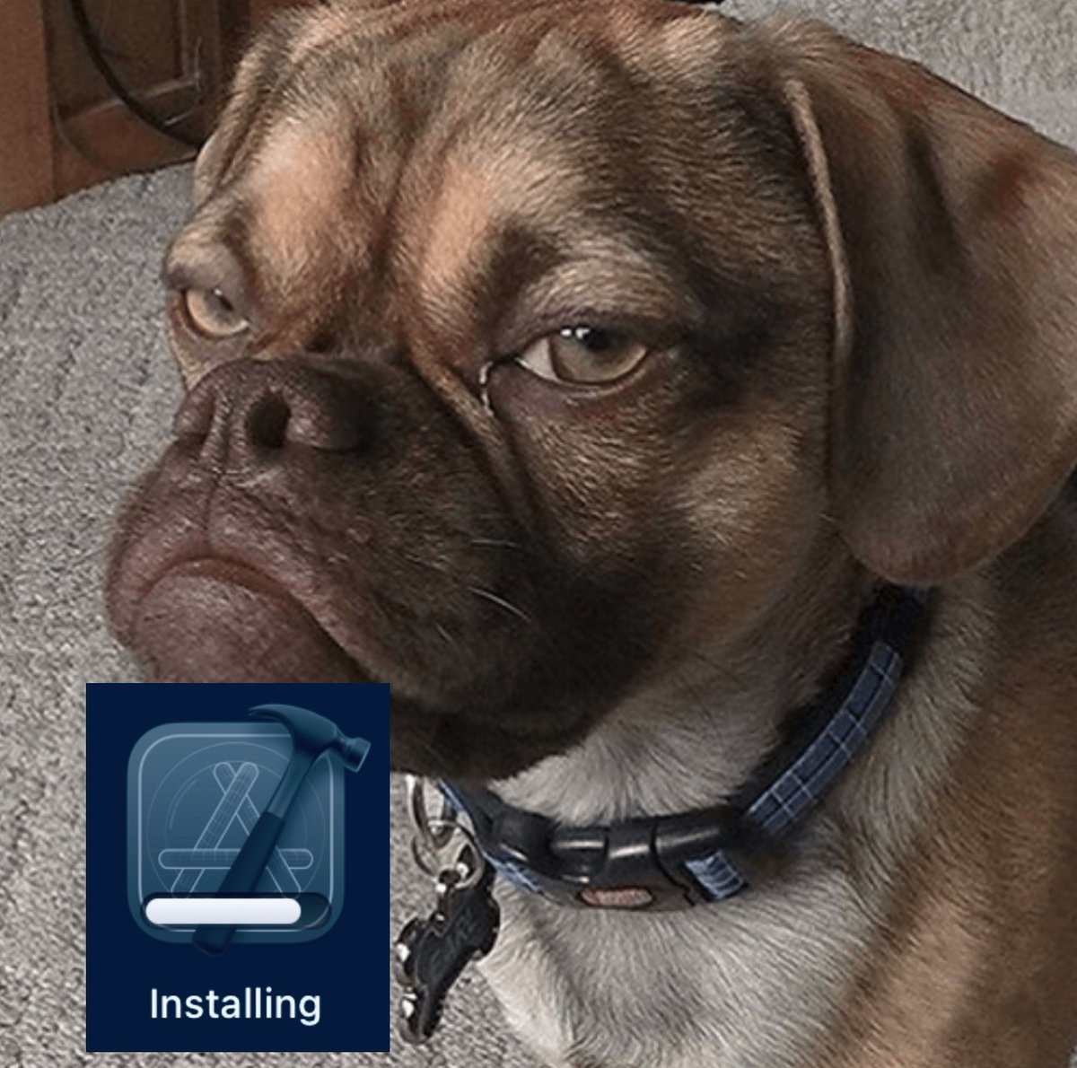 only iOS devs will understand this #16

#iosdev