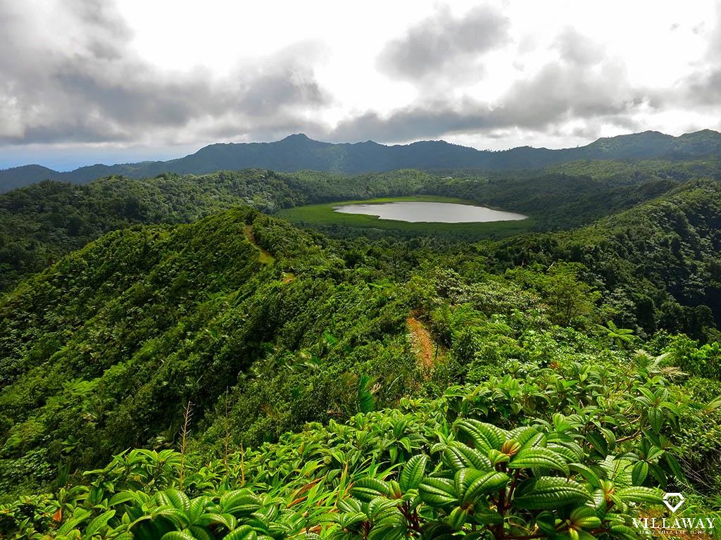 VILLAWAY's tweet photo. All of Grenada has its charms. Venture into the rainforest at Grand Etang National Park, and trek to see an unforgettable waterfall, or sail around the stunning protected bays in the craggy southern coast. 🌳 

#Villaway #luxuryvacation #luxuryvilla https://t.co/LfDxSTM6aw