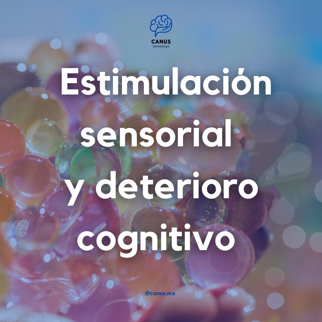 La #estimulaciónsensorial puede mejorar la comunicación, motivación y relaciones sociales en personas con #demencia. ¡Consulta a un profesional de #terapiaocupacional, como <a href="/canus/">Terence Merkelbach</a>.mx para implementar esta técnica en el cuidado de tu ser querido!