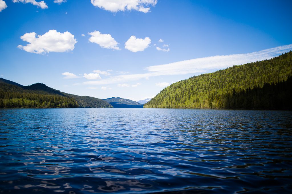 WAinvasives's tweet photo. We are proud to partner with Missoula County Weed District &amp; Extension to host an exciting short course in aquatic invasive species! This March event will include research updates, key identification tips, &amp; prevention protocols to limit spread. More: https://t.co/NAmKV17WtN https://t.co/J6QAlaGSgb