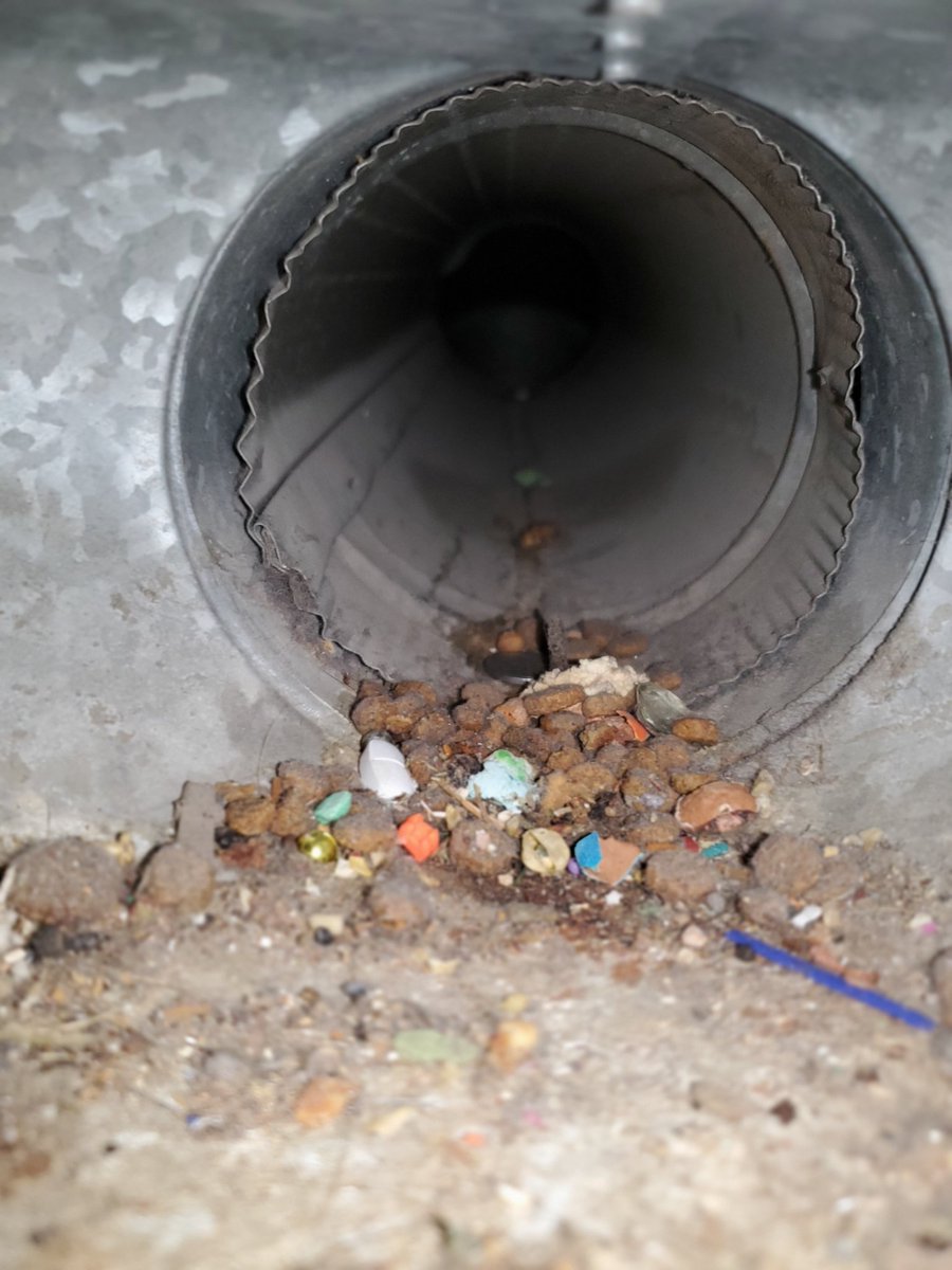 You never know what you may find in your ducts.  Especially the ones on the floor.  Call us if you would like to find out.  #airductcleaning
