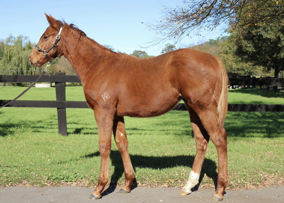 Fairhill Farm tweet media