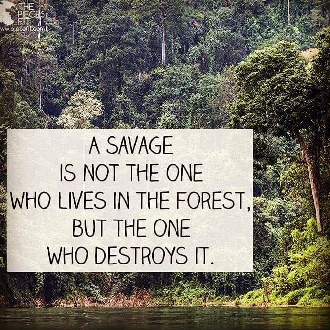 Indigenous tweet media