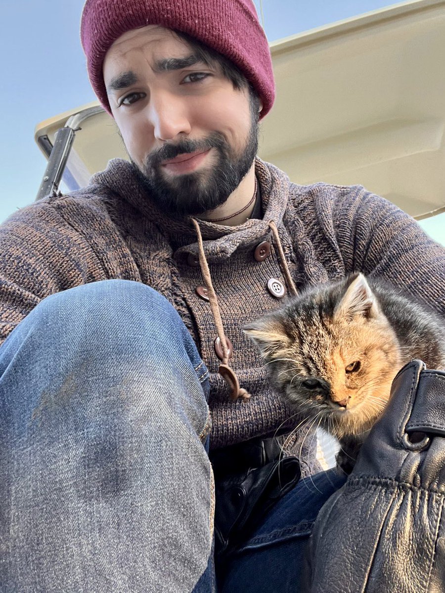 PalmaMidnight's tweet photo. Latest farm cat addition: Whiskey https://t.co/gUPPGBeta1