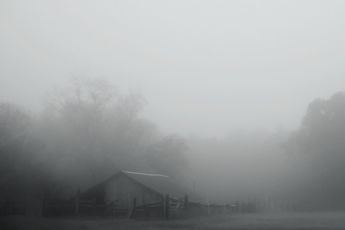 archillect's tweet image. 