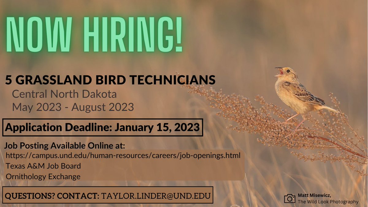 Taylor Linder (@tjlinder) on Twitter photo Looking for a fun, awesome summer job? Come join our team! We are looking for five technicians to join our team here in North Dakota to search for, and monitor, grassland bird nests. Applications received by January 15th will receive full consideration, so apply today! <a href="/FelegeLab/">Susan Felege</a> Looking for a fun, awesome summer job? Come join our team! We are looking for five technicians to join our team here in North Dakota to search for, and monitor, grassland bird nests. Applications received by January 15th will receive full consideration, so apply today! <a href="/FelegeLab/">Susan Felege</a>