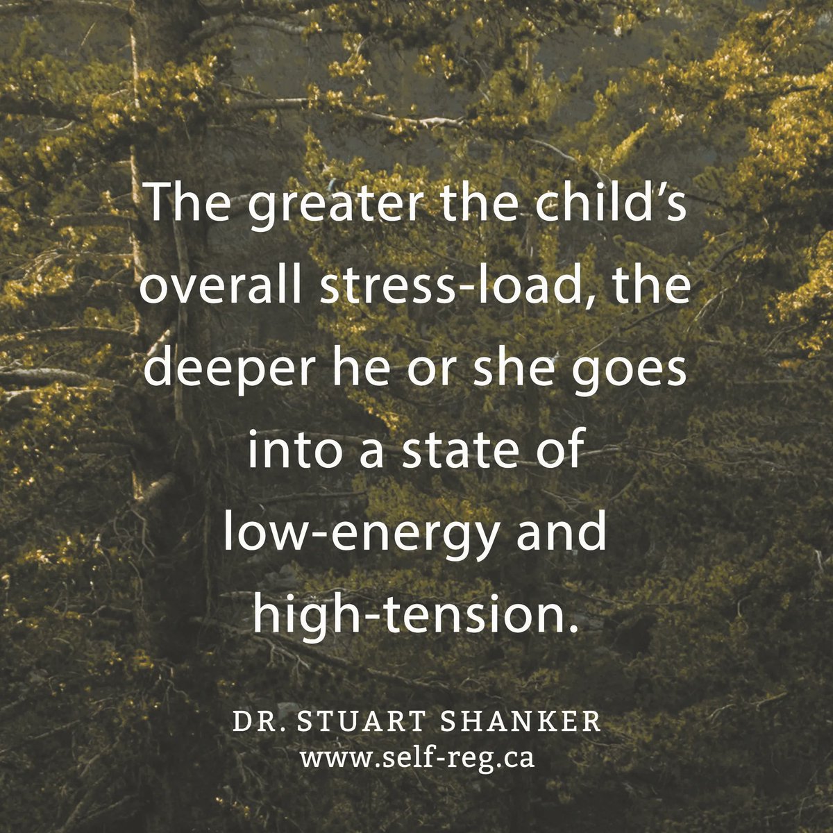 Self_Reg's tweet photo. "The greater the child's overall stress-load, the deeper he or she goes into a state of low-energy and high-tension." ~ Stuart Shanker
https://t.co/GGjAraB4We

#ShankerWisdom #StuartShanker #SelfReg #ChildStress #StressBehaviour https://t.co/DBeGN9LPHu
