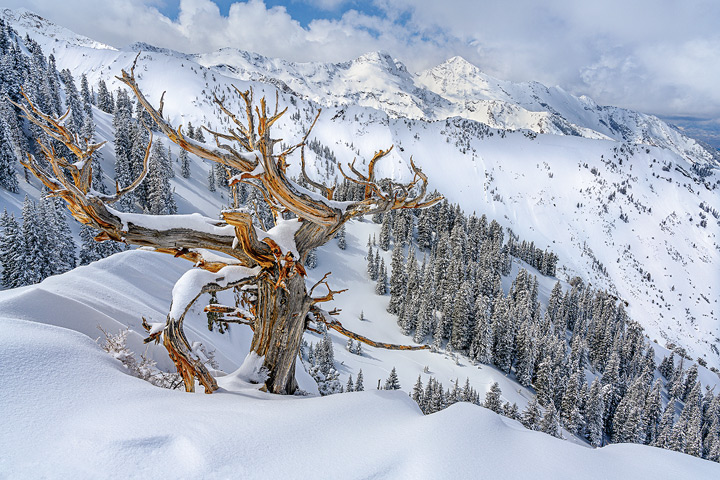 UtahLifeMag tweet picture