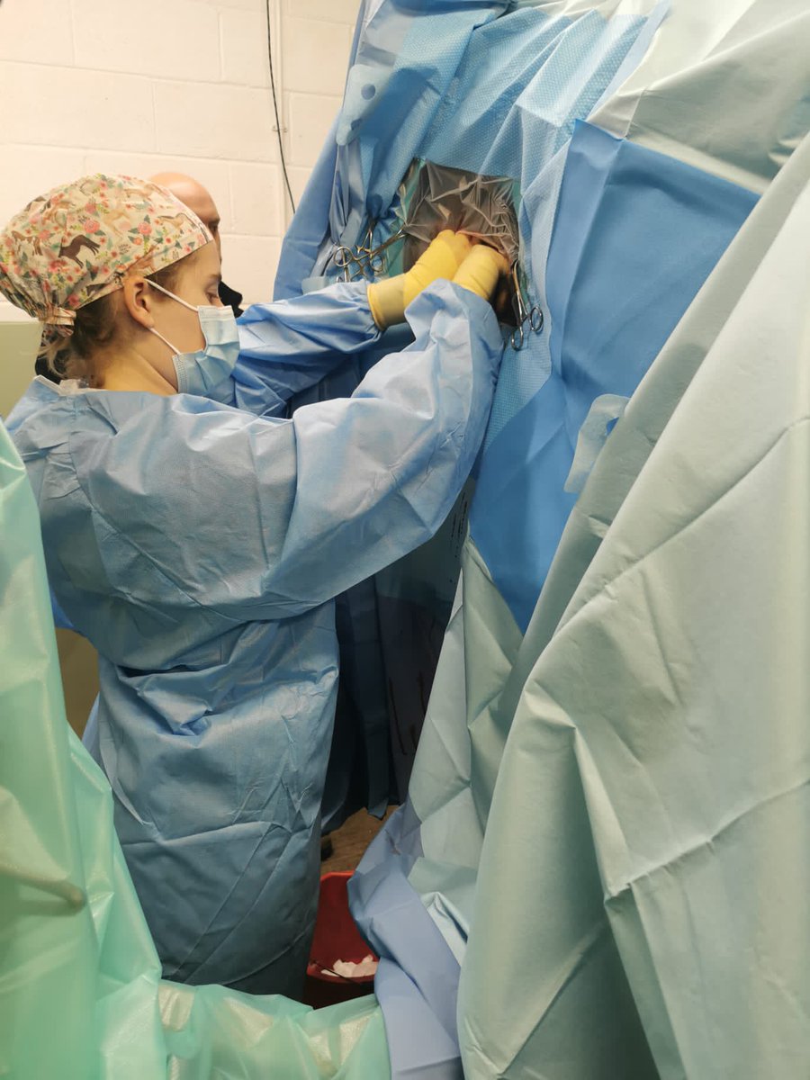 abby_r_xx's tweet photo. Starting 2023 as we meant to go on! #equineintern #surgery #happyplace https://t.co/7Ku8fzdvXA