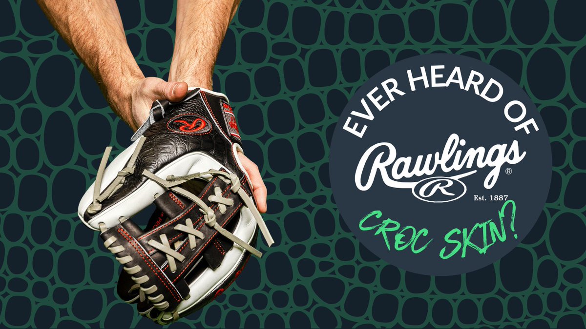 JustGloves's tweet photo. Better watch out for the @RawlingsSports Croc Skin...it'll get ya π
Even if it's not real Croc Skin, the imprint on the leather is undeniably cool! Shop Croc Skin gloves and all our new Rawlings here => https://t.co/3IGKLgUC4V
#JustGloves #ClickToCatch #TeamRawlings https://t.co/1mQF6LlzMX