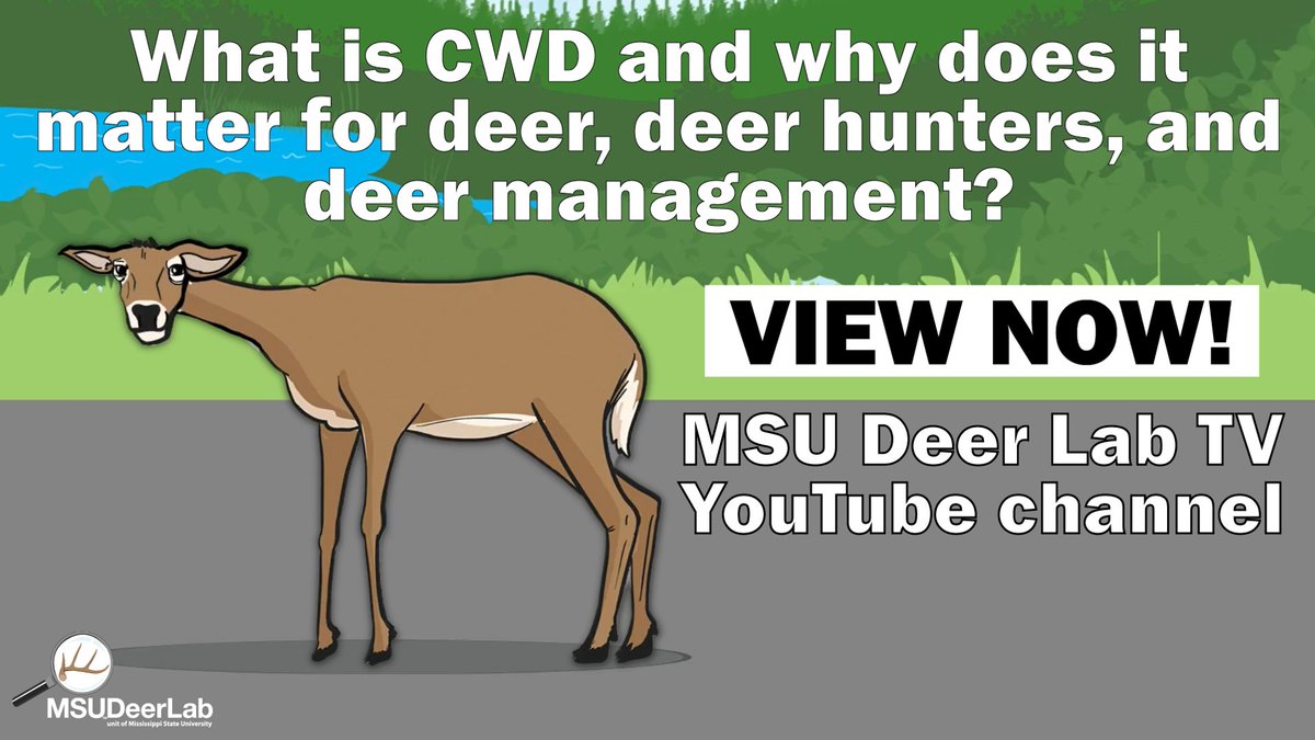 MSUDeerLab tweet media