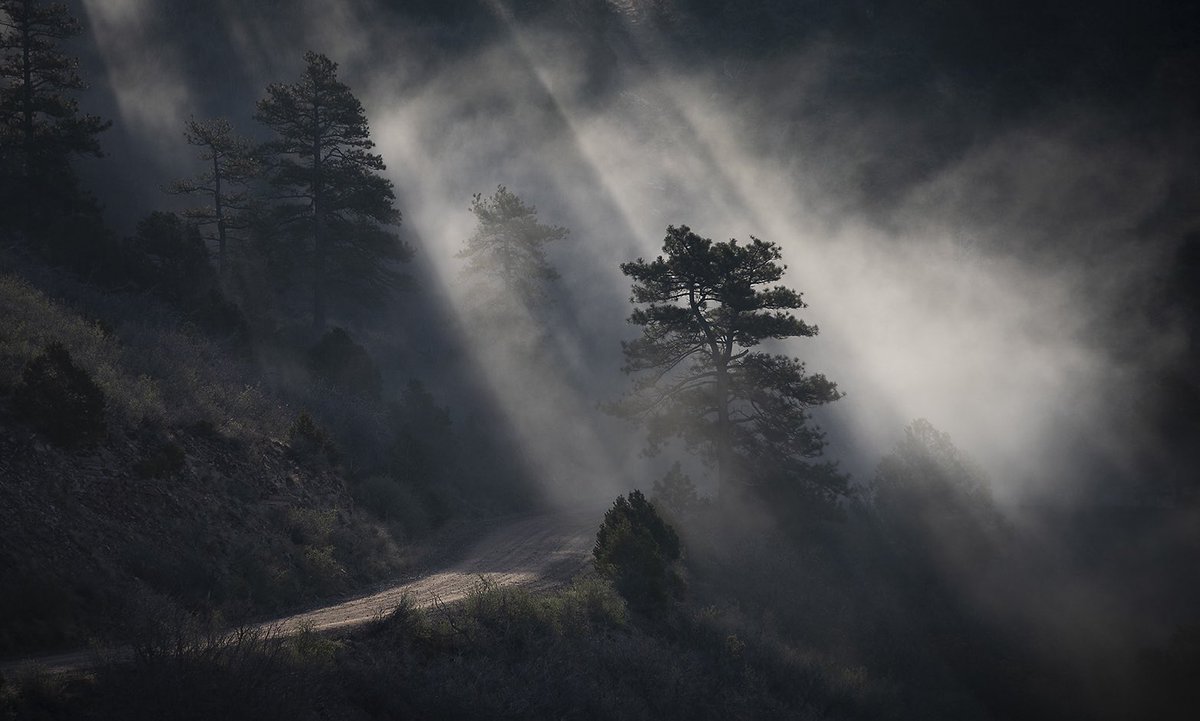 “A Moment Divine” Don’t forget I am dropping this beauty at 8am MST tomorrow on <a href="/foundation/">Foundation 🌐</a> on my own <a href="/manifoldxyz/">manifold.xyz</a>    it’s a 1/1  reserve .5 $ETH