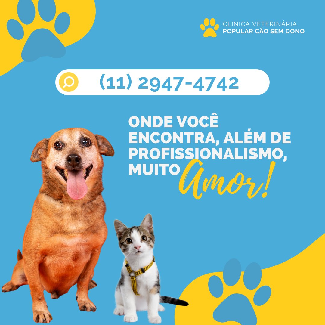 ONG Cão Sem Dono tweet media