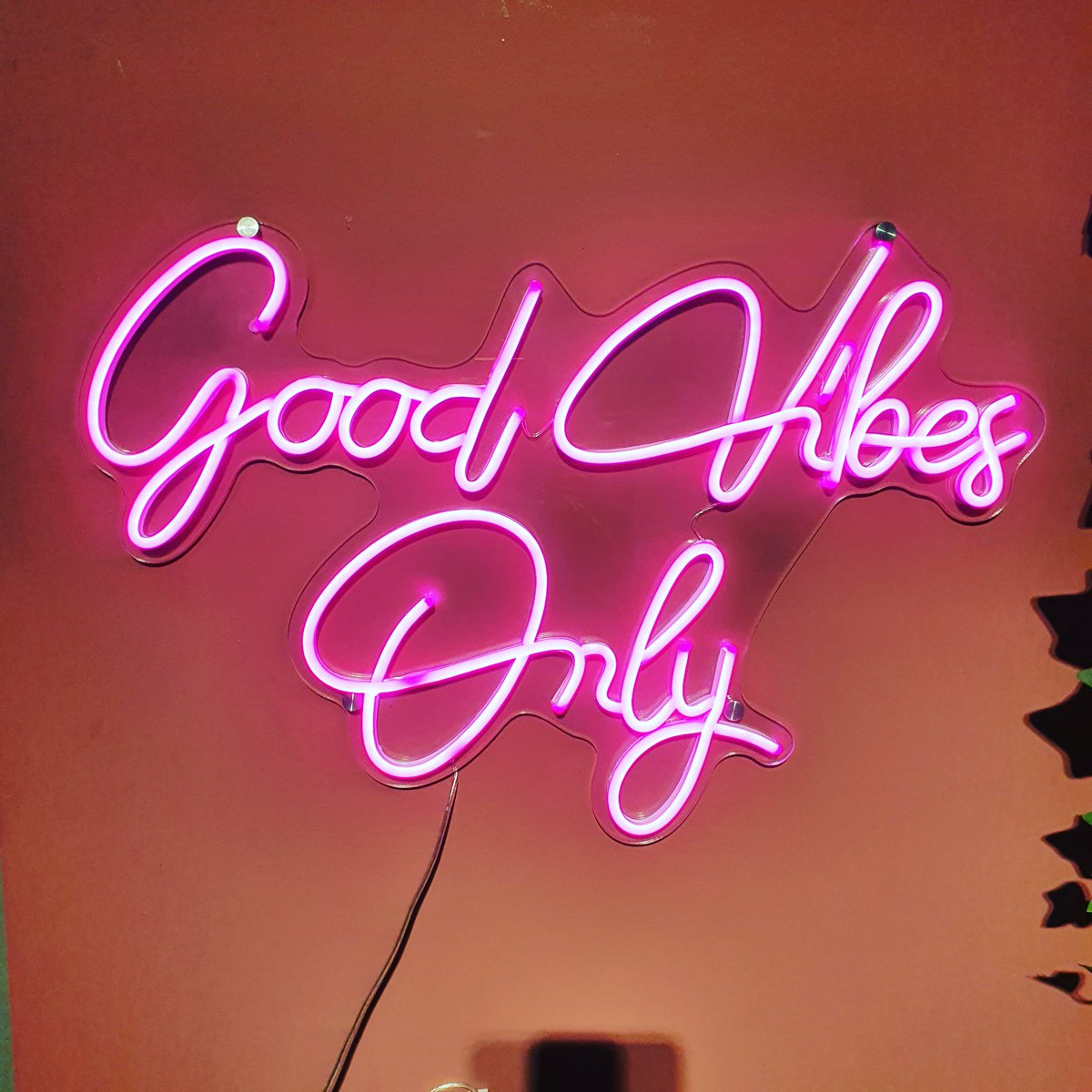 PETRA_READ's tweet photo. This year..I'll be manifesting these 💃🏼
#2023goals #GoodVibes #StayHealthy https://t.co/GI2vJeQwik