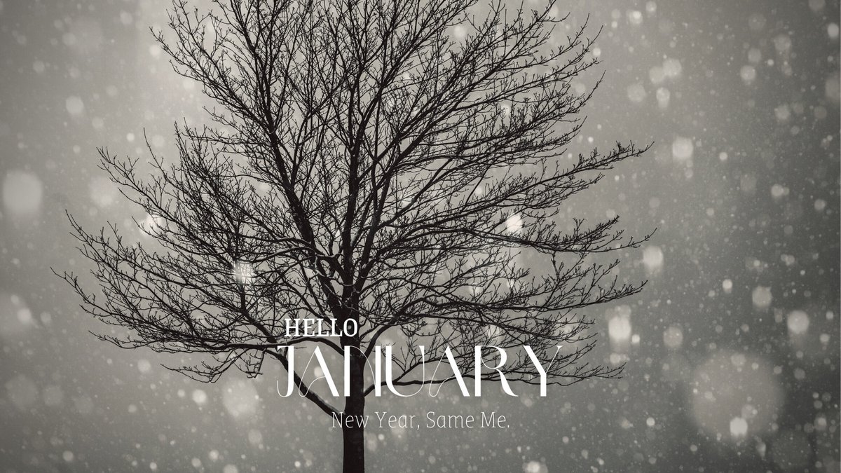 A few days in, but Happy New Year, everyone! ❄️
