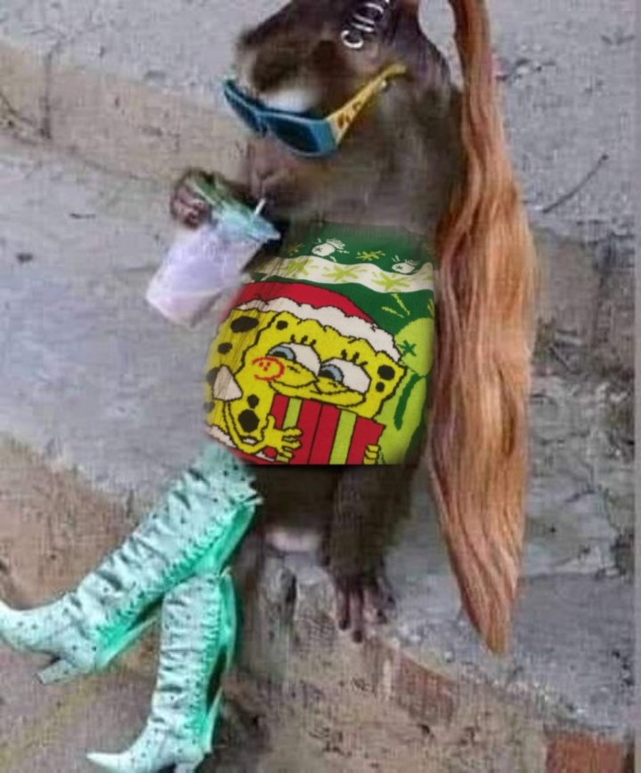 Aquí esperando el look de papá Nelson 🫶🏻🐸