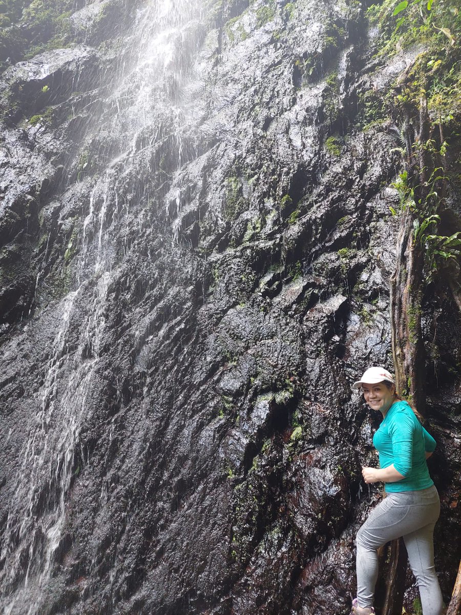 Marisol01801979's tweet photo. Un año nuevo espectacular en el Jiri Ecolodge en Coroico. Se los recomiendo a quienes les gusta la aventura y trekking de alta complejidad. https://t.co/0LoBYQ3cH6