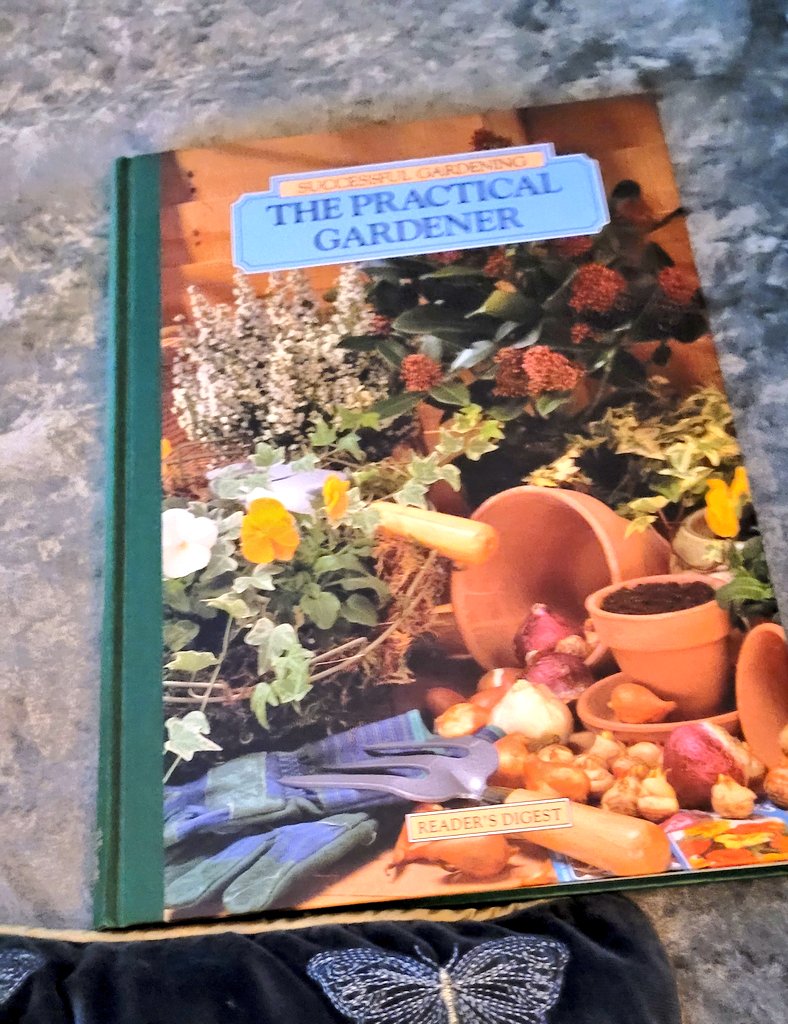 ooogleboogle's tweet photo. Some late reading 📚  time to get back into the swing 😁 #garden #GardeningTwitter #books #gardening https://t.co/E9BiknGGIe