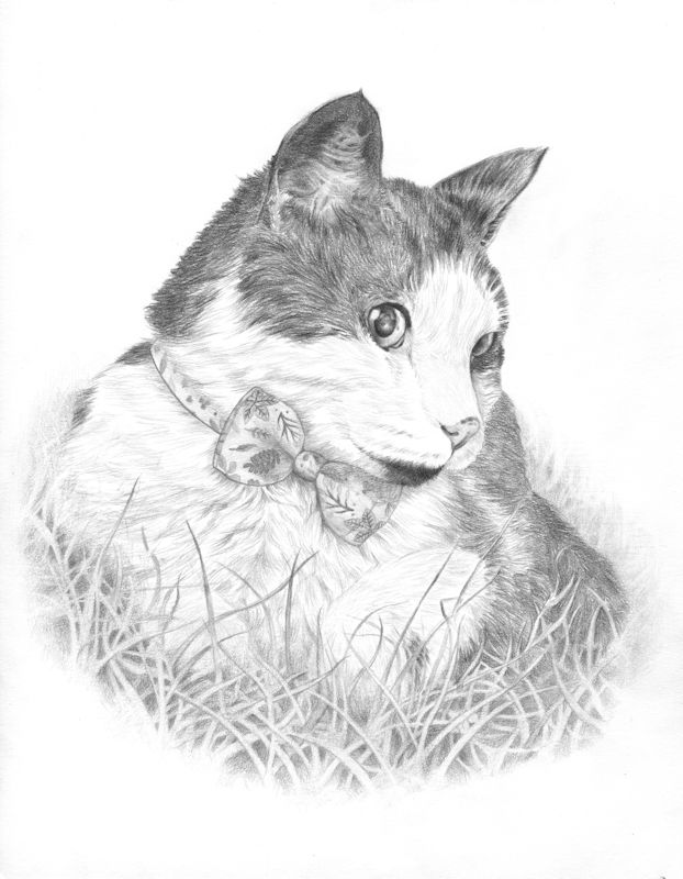 revaDraws's tweet photo. Happy New Year! Hope you all enjoyed the holidays!
Here is Oscar's portrait at the graphite stage. I normally don't draw backgrounds but in this case I felt I had to draw the grass to better capture his pose. I will post the colored and finished portrait next!
#cat #art https://t.co/rRTYTcz3G8