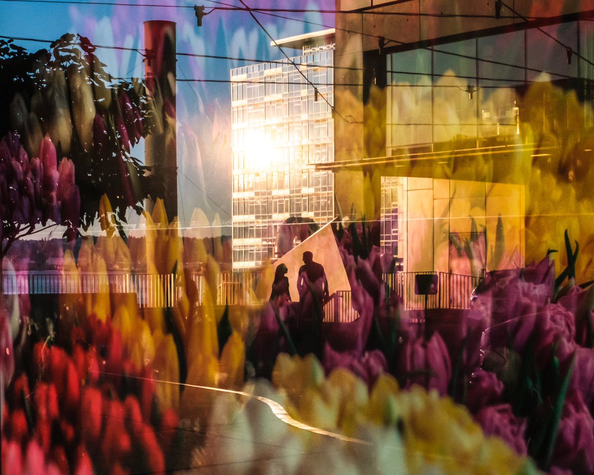 I’m very shy to mint work unless I know it truly shows where I’m headed as an artist and represents what I’m trying to achieve with a camera. This photograph is one of those special artworks in my portfolio.

Eden (2019) 🌹🌷🌹🌷
now live on SuperRare.