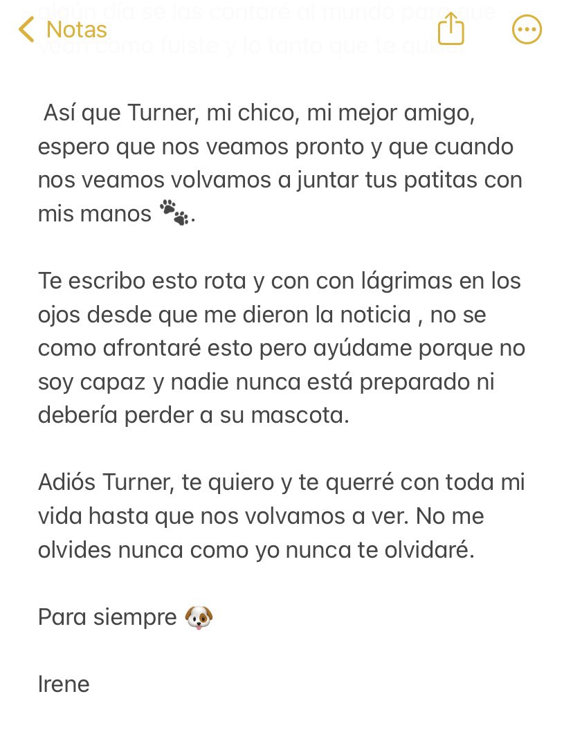 iirreeedh's tweet photo. Descansa en paz mi chico. Recuérdame. Te quiero hoy y siempre 🐶 https://t.co/M0nqoKzTJm