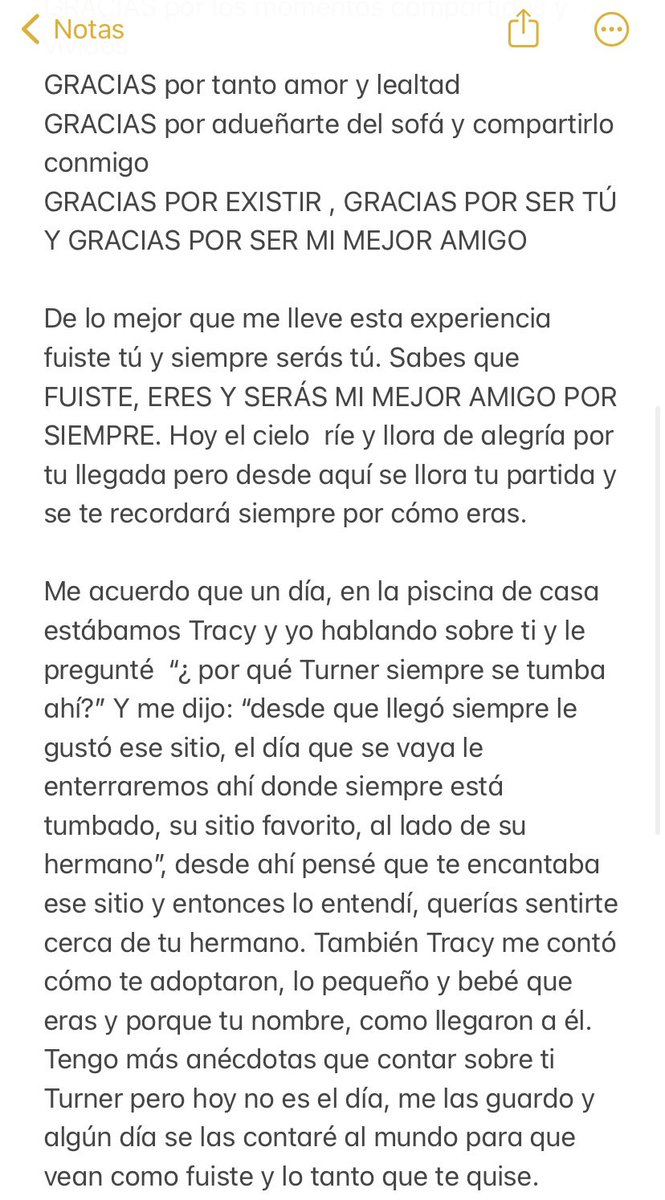 iirreeedh's tweet photo. Descansa en paz mi chico. Recuérdame. Te quiero hoy y siempre 🐶 https://t.co/M0nqoKzTJm