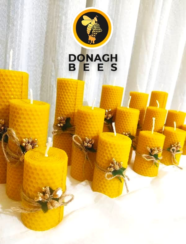 Donagh Bees tweet media