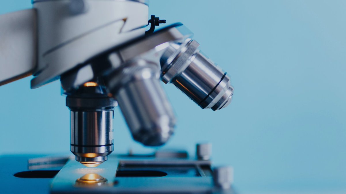 FASEBorg's tweet photo. Authors trust FASEB’s flagship journal with highly impactful research across biological and biomedical sciences at every level of the organization. Read the latest research: https://t.co/qpTAjL8Ml6 #FASEBJournal #research #science https://t.co/Hwo2QxL1aN