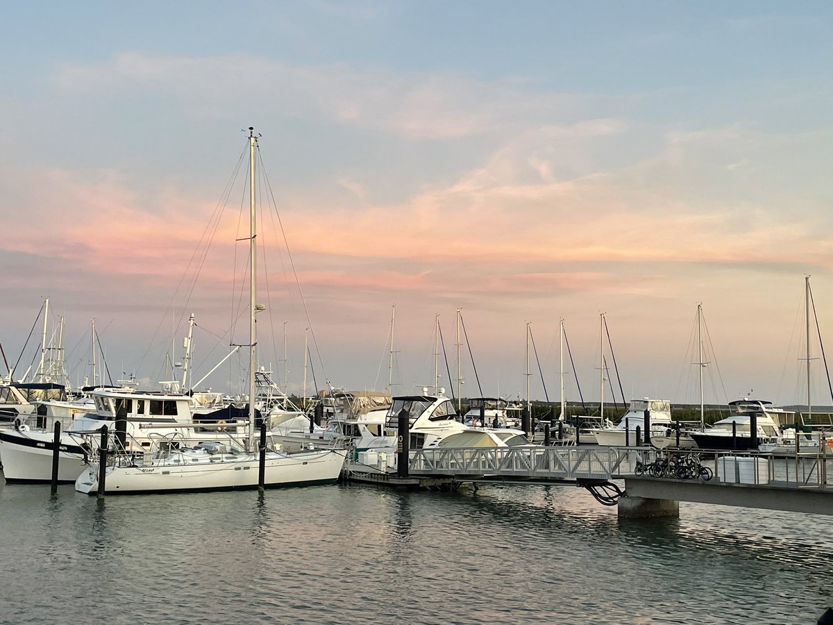 DianaRuggOnTV's tweet photo. Taken 2 seconds apart - what a difference pointing at the water first makes! #Autocolor https://t.co/ykUeABuxwh