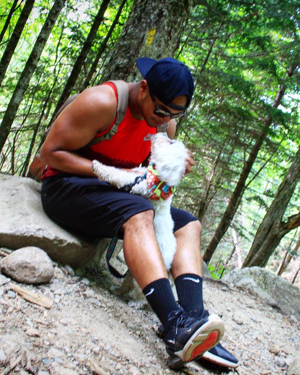 Bo Tilly 보석 🇰🇷✌🏽 tweet media