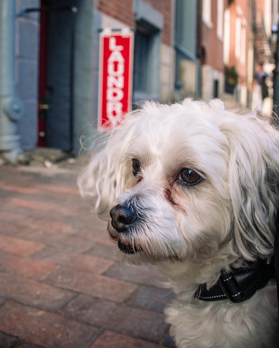 Bo Tilly 보석 🇰🇷✌🏽 tweet media