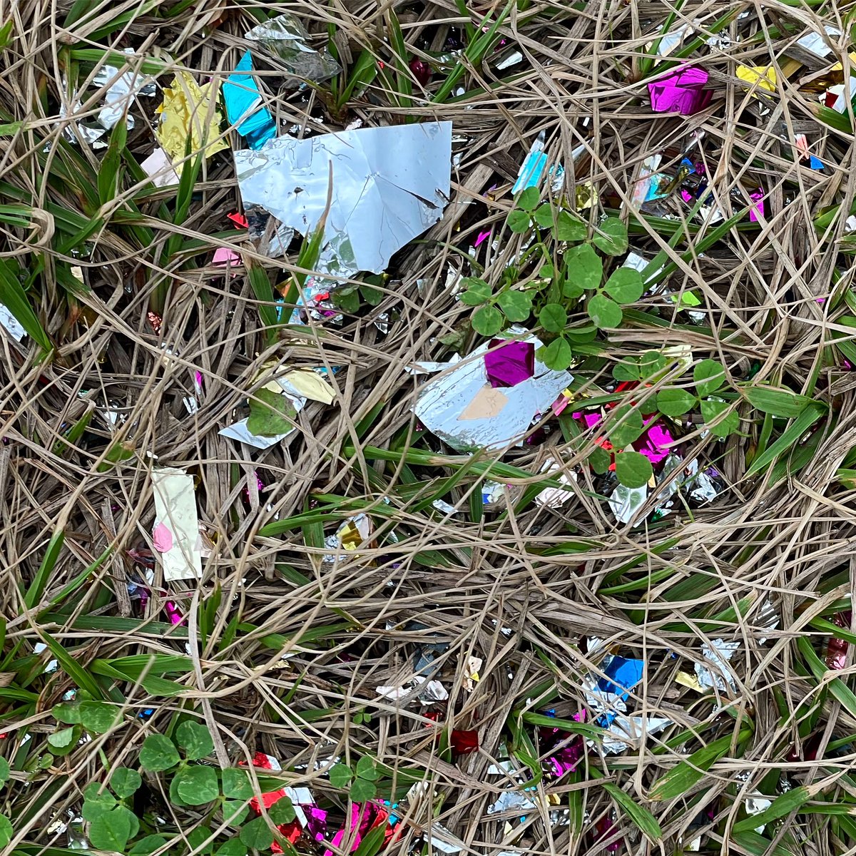 I hope that whoever exploded this #confetticannon at #midnight for #NewYears really enjoyed watching it in the dark for all of 10 seconds. 

After 20 mins of picking bits up I barely made a dent. Just don’t do this 😓
.
#plasticpollution #ConfettiCannonsHaveConsequences