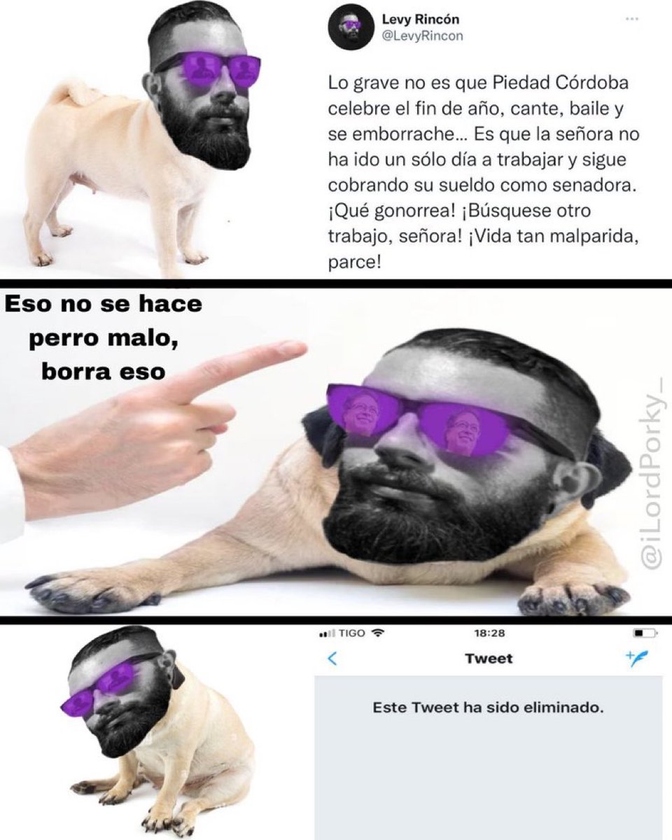 darango_htx's tweet photo. Otro perrito que se asustó con la pólvora. 🦄 https://t.co/C6w5cM9NEs