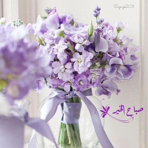 بتي صديق بس ؟؟؟مو قحبات و شرمط وفنادف او وتيل  صديق تكون صدق وجادي معي وشو طلبه ان جهيز  سطنبول