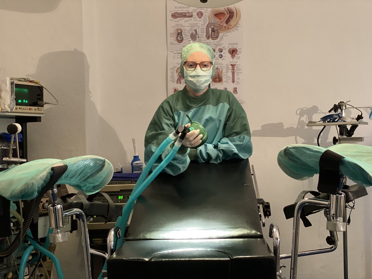 Medical-Fet-Team tweet media
