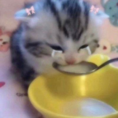 abijuzim's tweet photo. tem 4 anos que eu choro lembrando que Dua Lipa e BLACKPINK viram a farofa maravilhosa de Kiss and Make Up e simplesmente deixaram ela morrer cedinho https://t.co/QBQ6ChbMeo