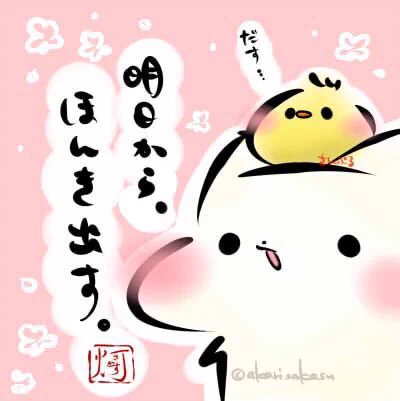 「明日から、ほんき出す。」今日から仕事始めの方も多いかと思いますが、今日はまずはまったりと…体や頭を慣れさせる感じで…!無理は禁物で!!#ましまろう 