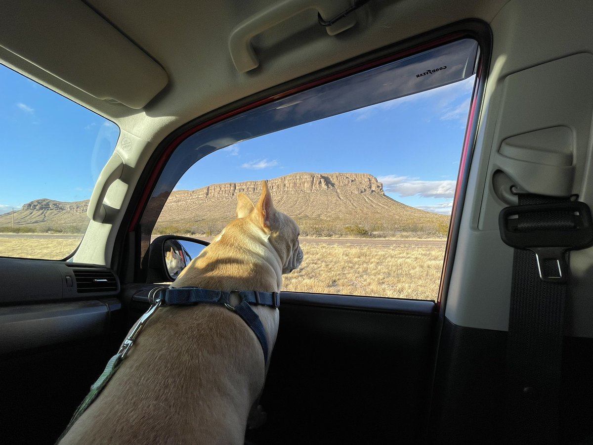 Manny (@mannywedges) on Twitter photo 