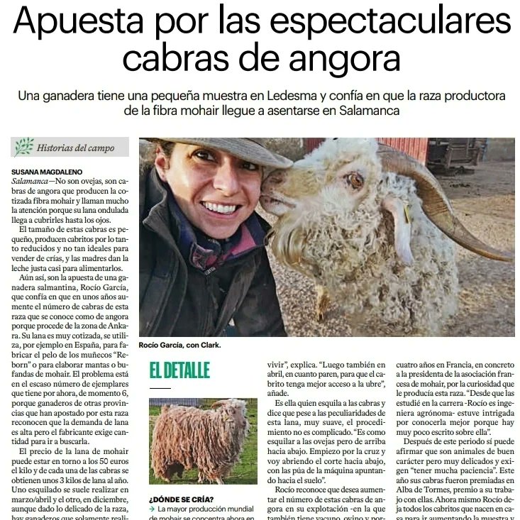Hace años trabajaba en una oficina. 
Llegaba al trabajo a las 07.25 de la mañana, aunque fichaba a las 08.00
Me sentaba en mi mega silla con respaldo último modelo y encendía el ordenador. Me ponía un café y veía amanecer desde la ventana super aislante con