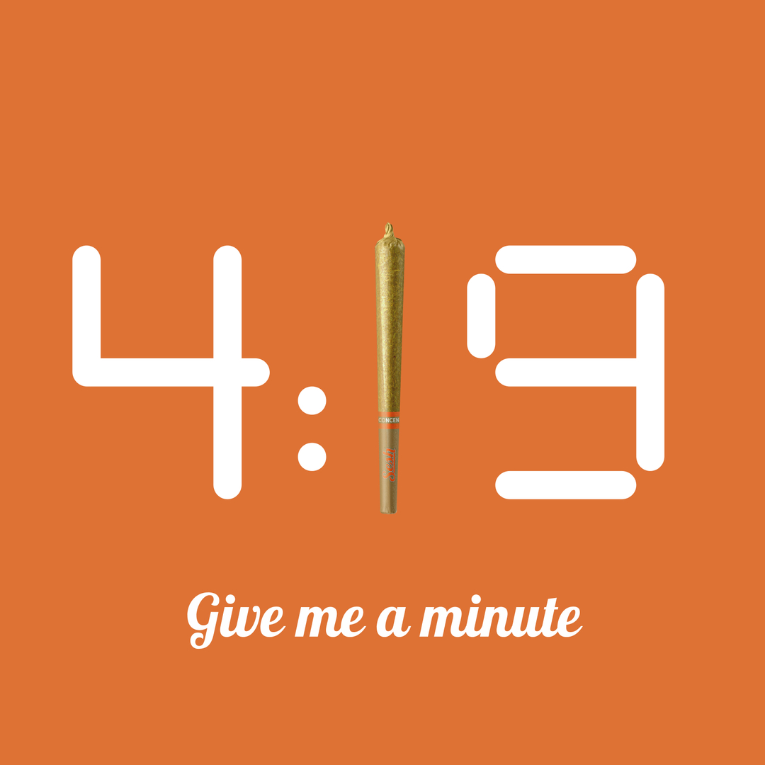 seshbycraft tweet media