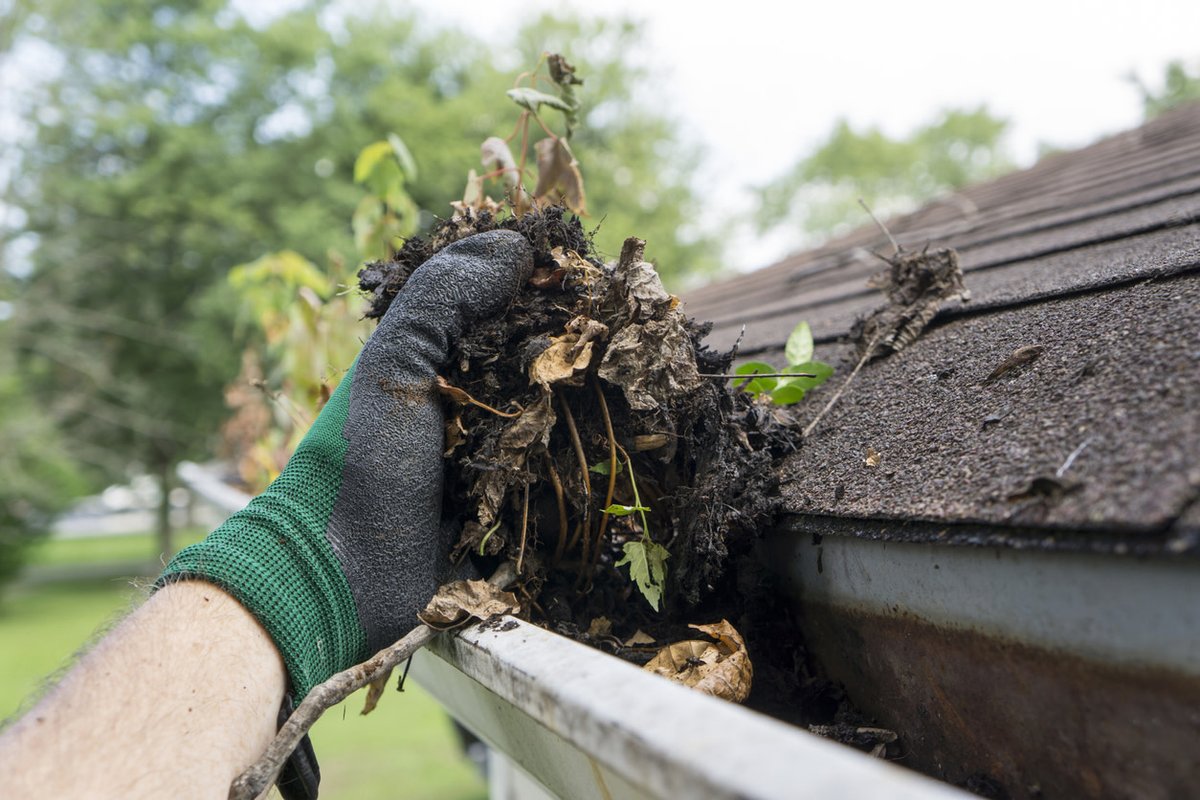 btminsurance's tweet image. Issues in the Home to Fix

Does your home have issues? It's important to know what they are and how to fix it. 
#independentinsuranceagency #homeinsurance

brookstoddmcneil.com/6-issues-in-yo…