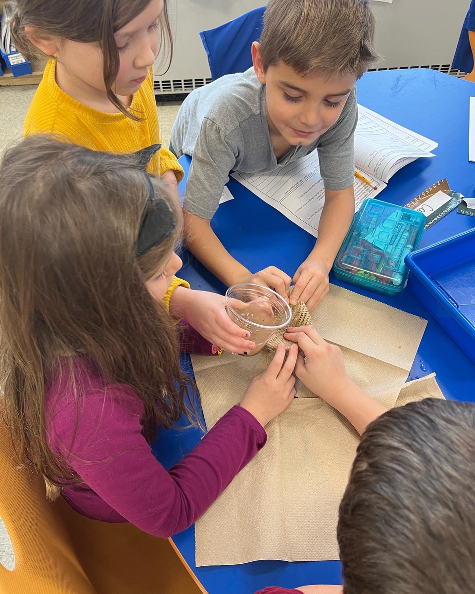 Tina Mikula tweet media